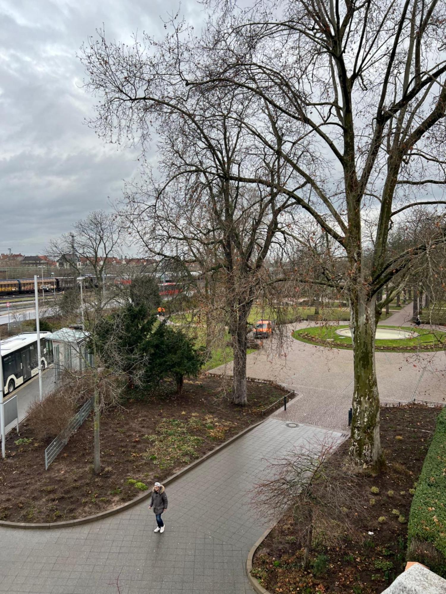 Albert-Schulte-Park Apartment- Wormacja Zewnętrze zdjęcie